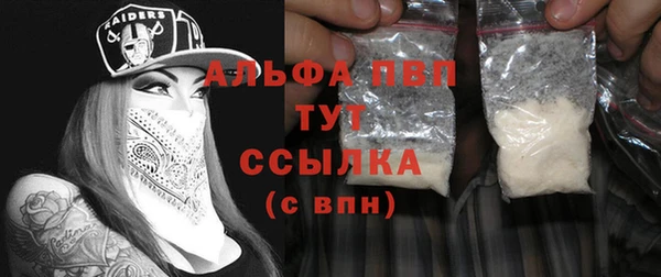МДПВ Каменка