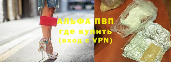 гидра Каменногорск