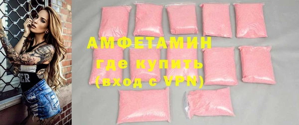 гидра Каменногорск