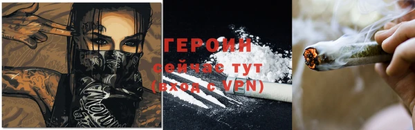 гидра Каменногорск