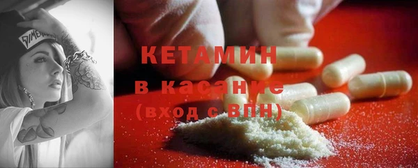 гидра Каменногорск
