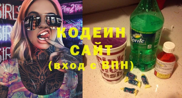 МДПВ Каменка