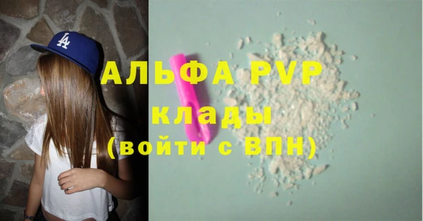 МДПВ Каменка
