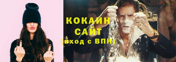 гидра Каменногорск
