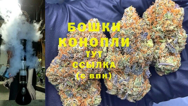 МДПВ Каменка