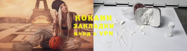 МДПВ Каменка