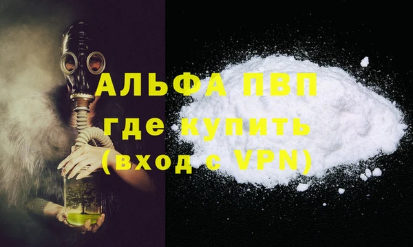 гидра Каменногорск