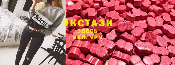 МДПВ Каменка