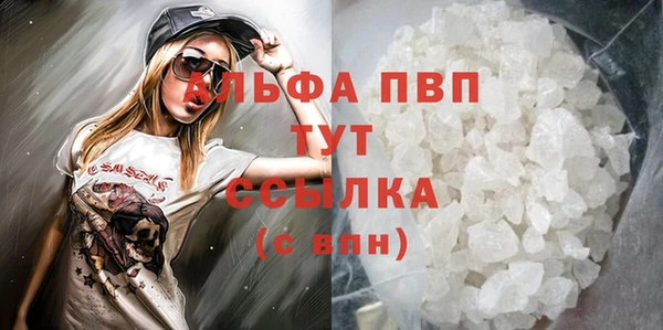 гидра Каменногорск
