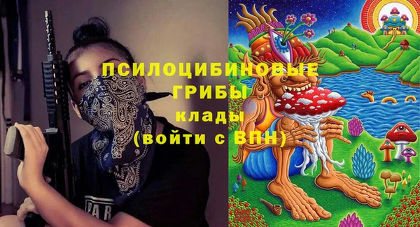 МДПВ Каменка