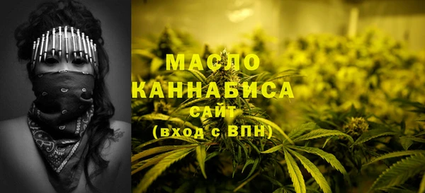 гидра Каменногорск