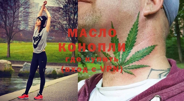 МДПВ Каменка