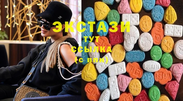 МДПВ Каменка