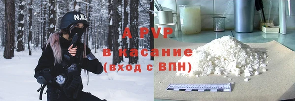 гидра Каменногорск