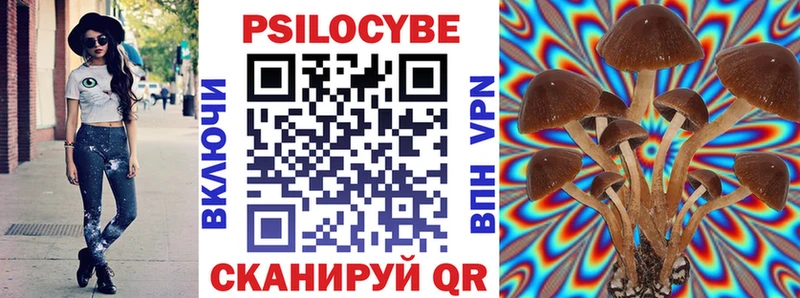 где найти наркотики  Северо-Курильск  Псилоцибиновые грибы MAGIC MUSHROOMS 